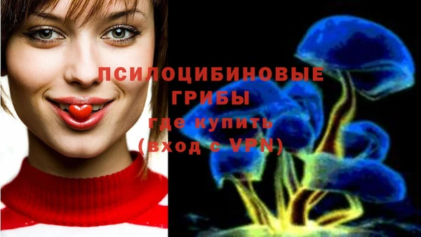 мдма Горнозаводск